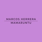 Text 'Marcos Herrera Mamaruntu' on a purple background