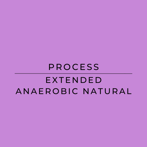 Text 'PROCESS EXTENDED ANAEROBIC NATURAL' on a purple background