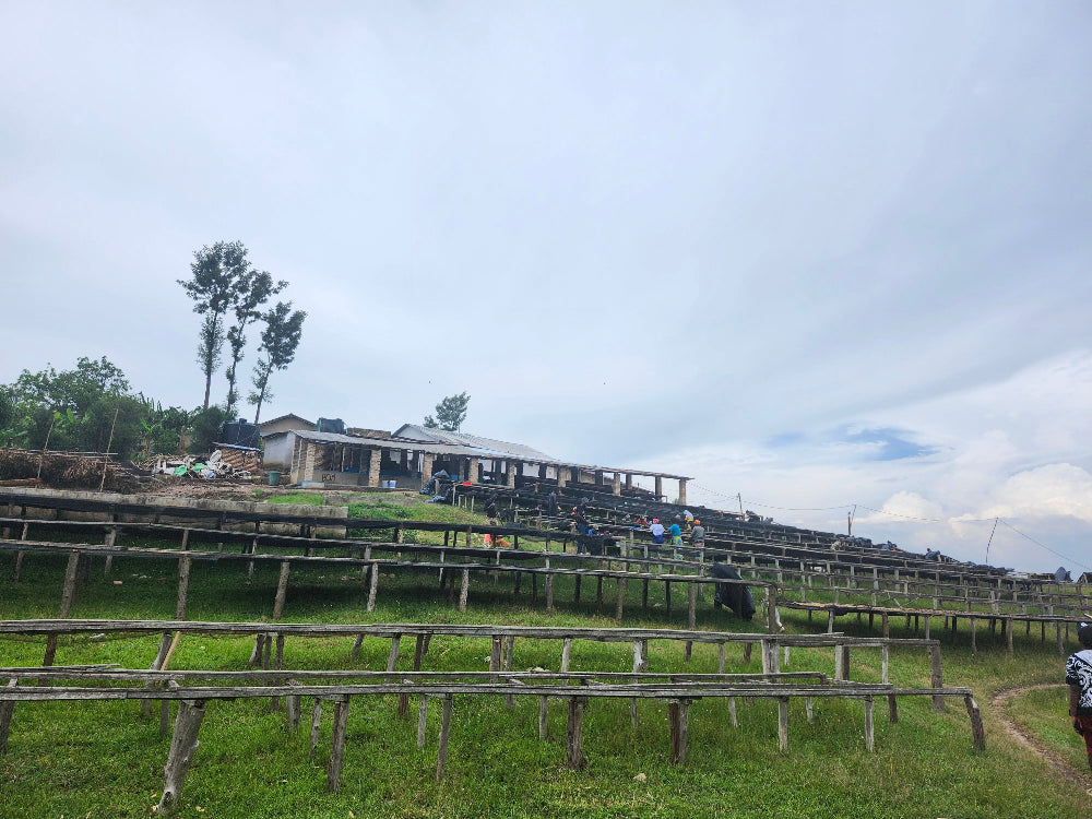 Outdoor setting with a building, grassy area, and wooden fences under a cloudy sky.