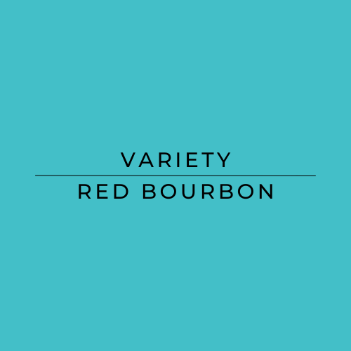 Text 'VARIETY RED BOURBON' on a teal background
