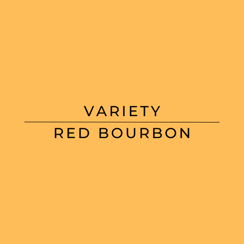 Text 'VARIETY RED BOURBON' on a yellow background
