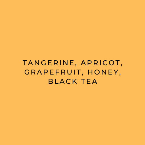 Text on a yellow background listing flavors: Tangerine, Apricot, Grapefruit, Honey, Black Tea