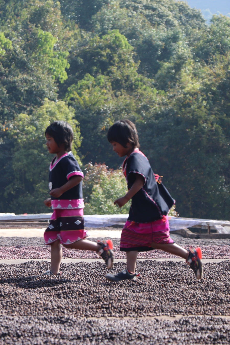 Children running over cherries at No Stone Estate china