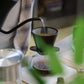 A person pouring water from a kettle into a coffee maker, which is placed on a kitchen scale with ground coffee inside.