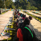 Raised African beds for sorting coffee beans in Ethiopia