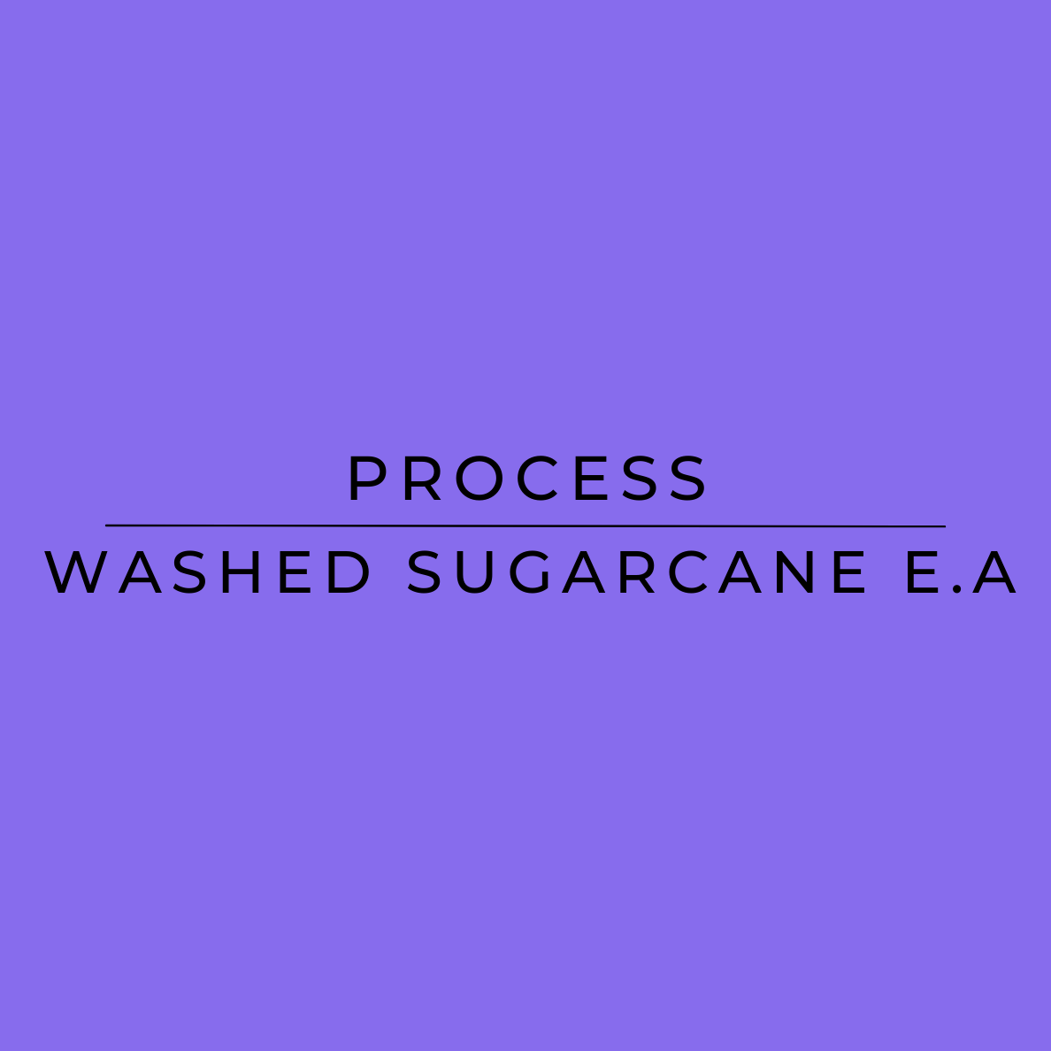 Really Good Decaf Colombian Coffee Bean Process - Washed Sugarcane E.A.