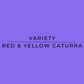 Really Good Decaf Colombian Coffee Bean Variety - Red & Yellow Caturra | Harmony Coffee