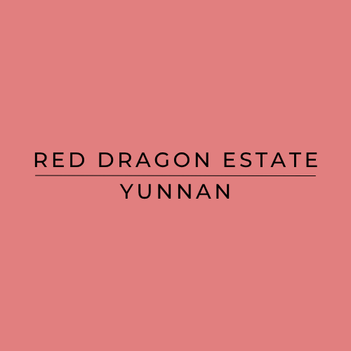 Text: Red Dragon Estate Yunnan on a red background, Harmony Coffee roaster York
