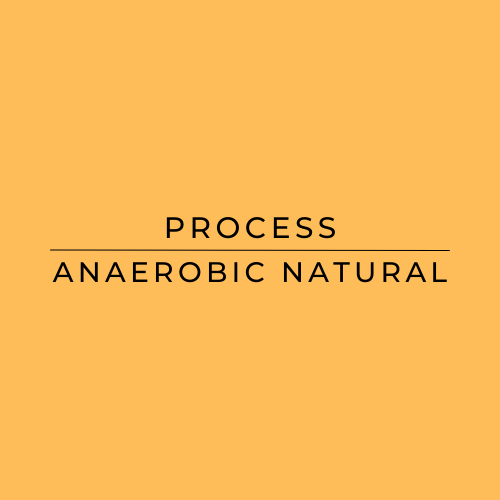 Text 'PROCESS ANAEROBIC NATURAL' on a yellow background