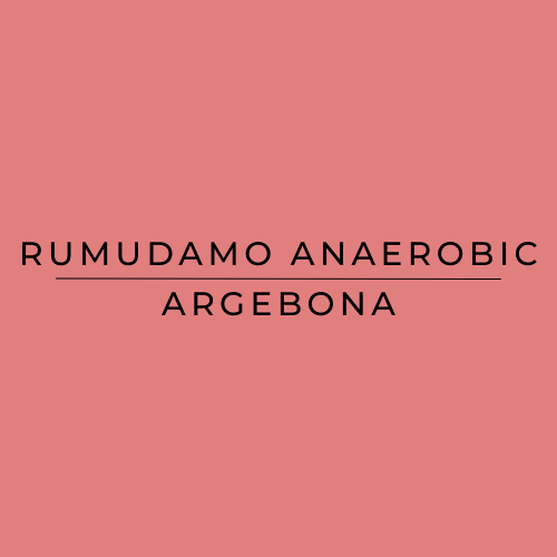 Rumudamo Anaerobic, Argebona on a red background