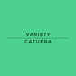 Text 'VARIETY CATURRA' on a green background