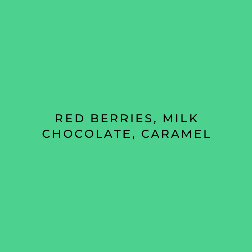 Flavour Descriptions, red berries milk chocolate and caramel