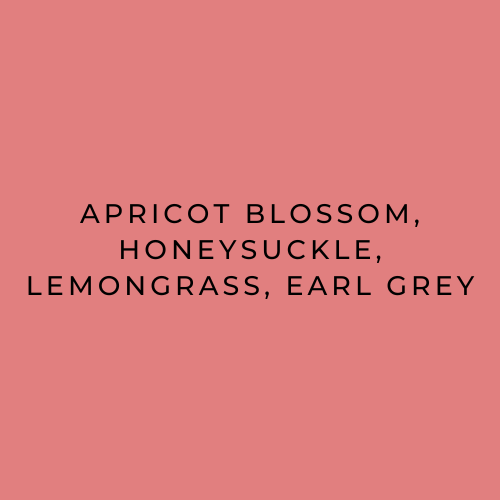Theilor cruz flavour descriptions Gesha