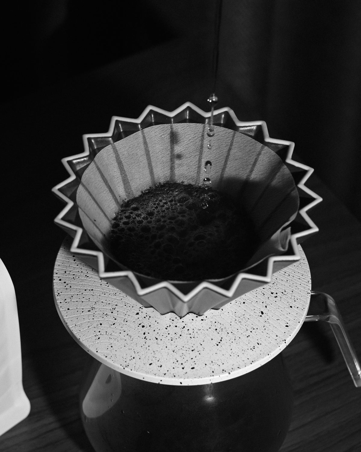 Water dripping into a blooming bed of YunLan Estate coffee in a white origami dripper